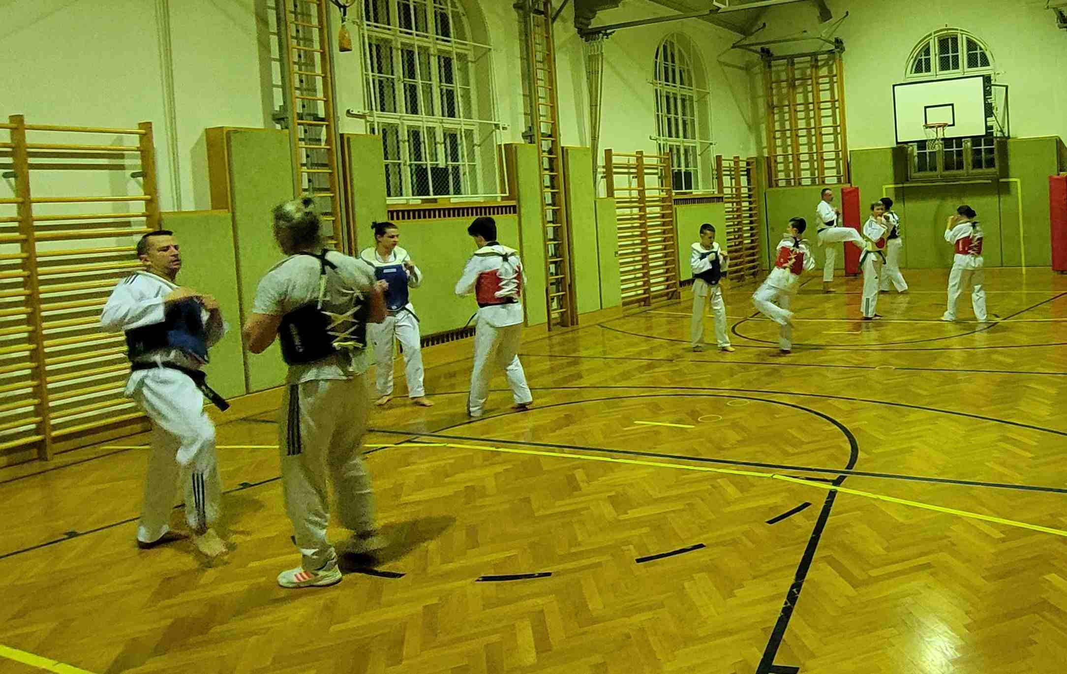 Taekwondo-Haugsdorf_Trainingsfoto_2023_1