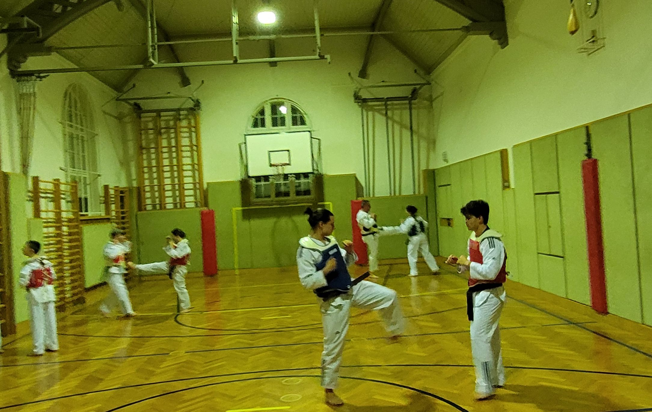 ITaekwondo-Haugsdorf_Trainingsfoto_2023_2