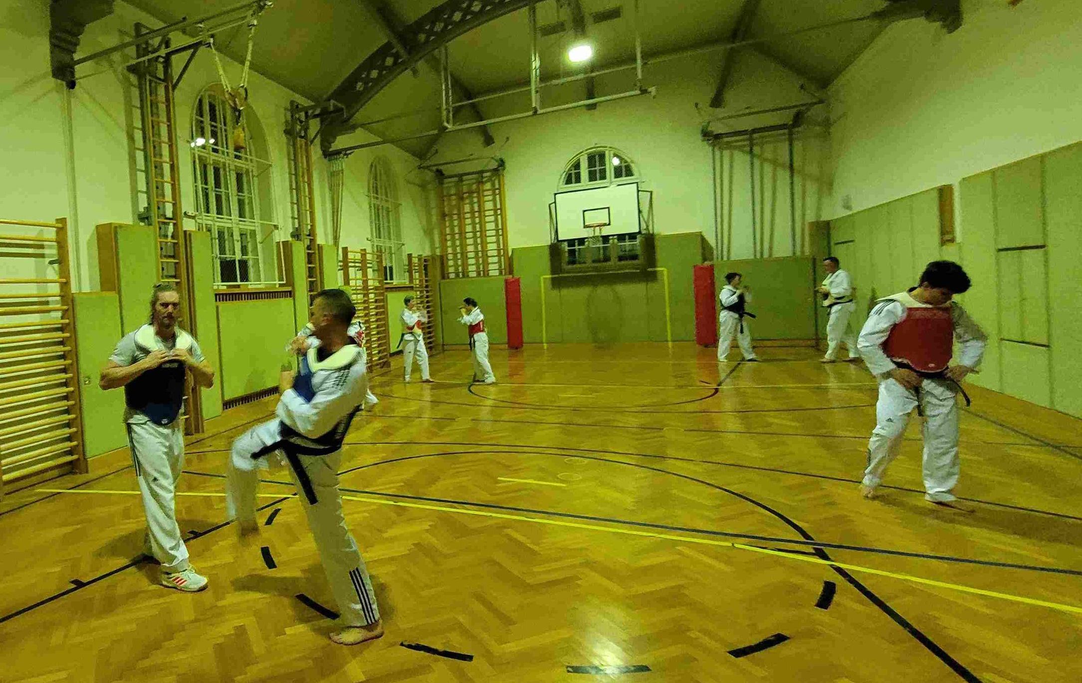 Taekwondo-Haugsdorf_Trainingsfoto_2023_3
