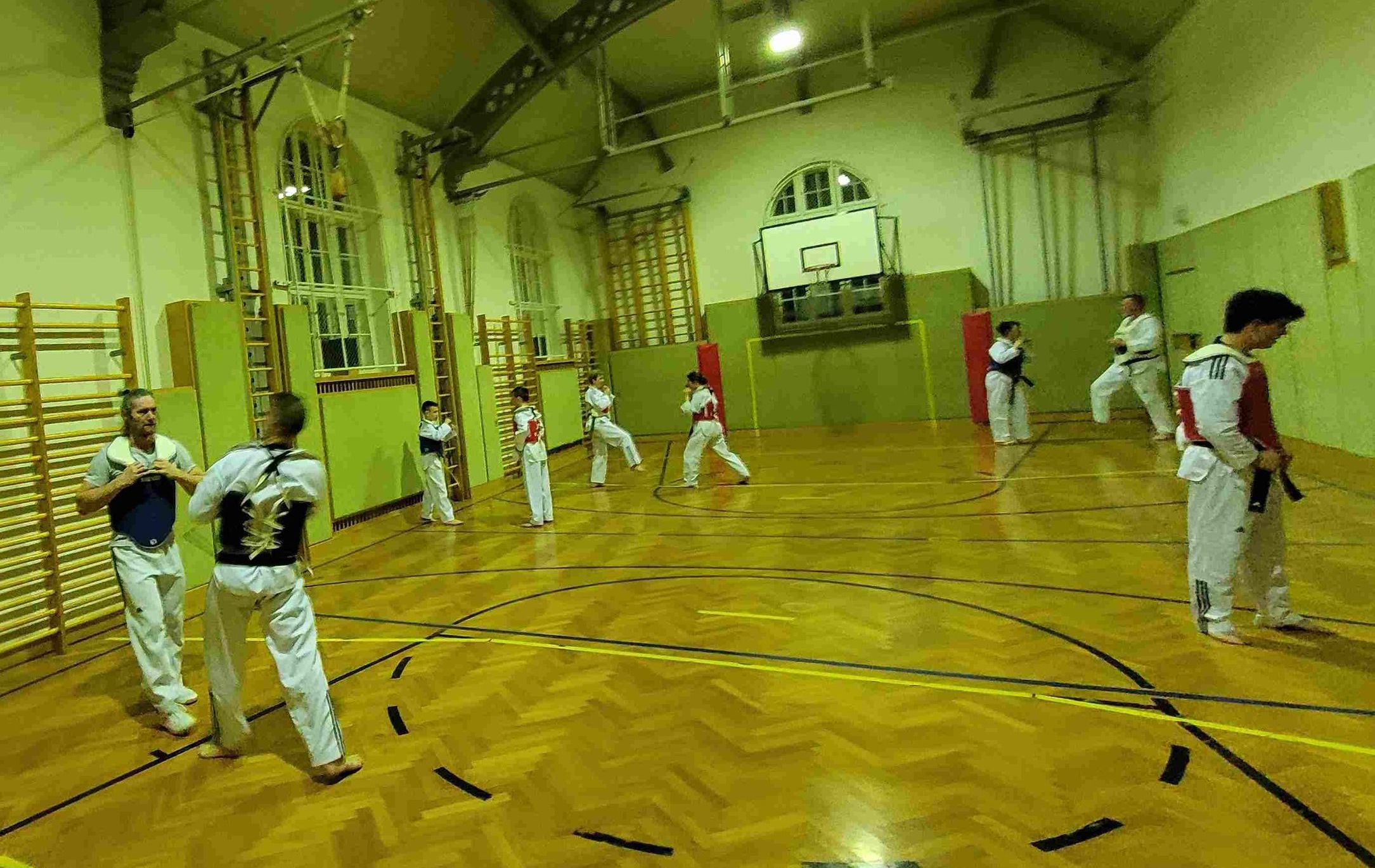 Taekwondo-Haugsdorf_Trainingsfoto_2023_4