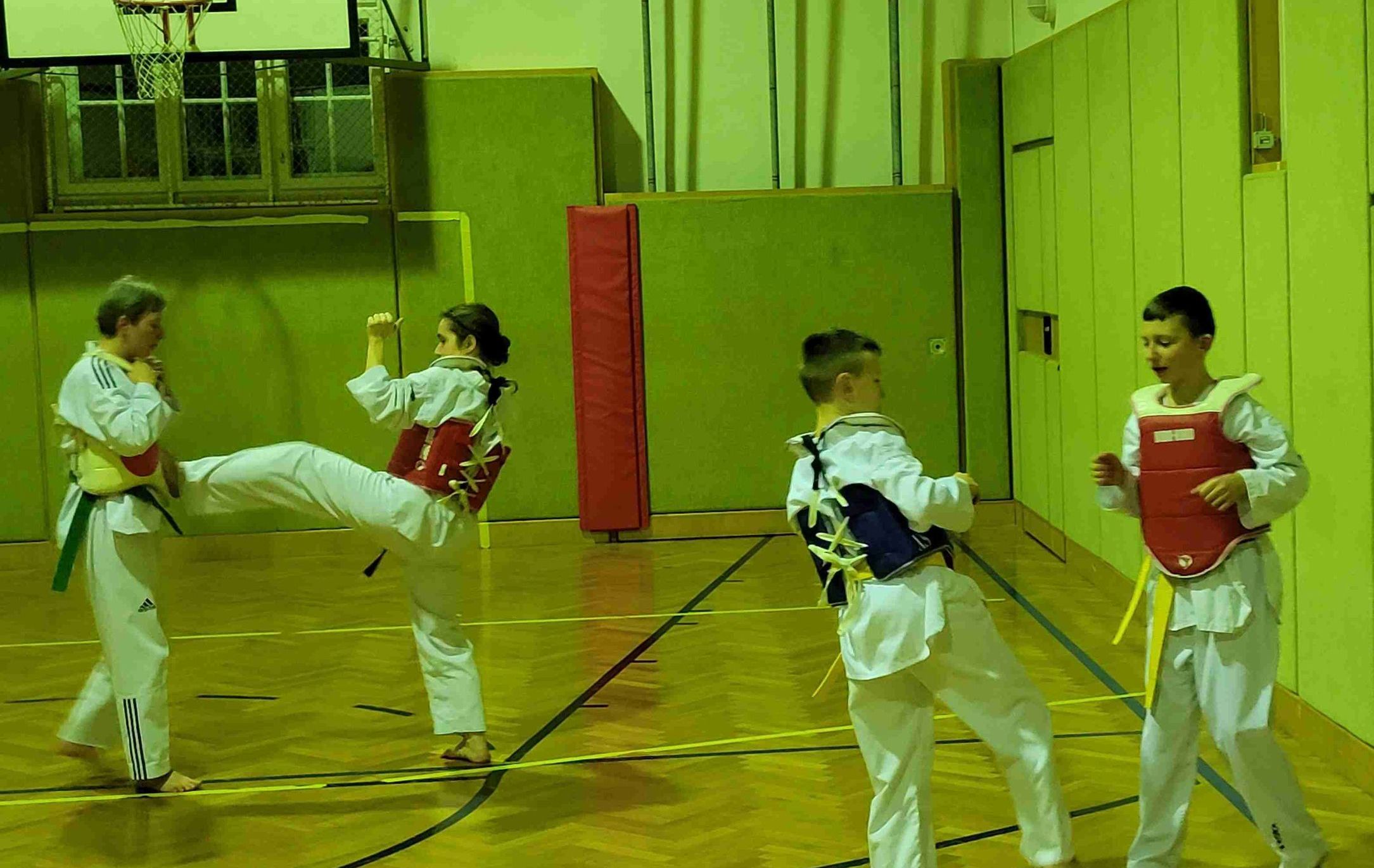 Taekwondo-Haugsdorf_Trainingsfoto_2023_5