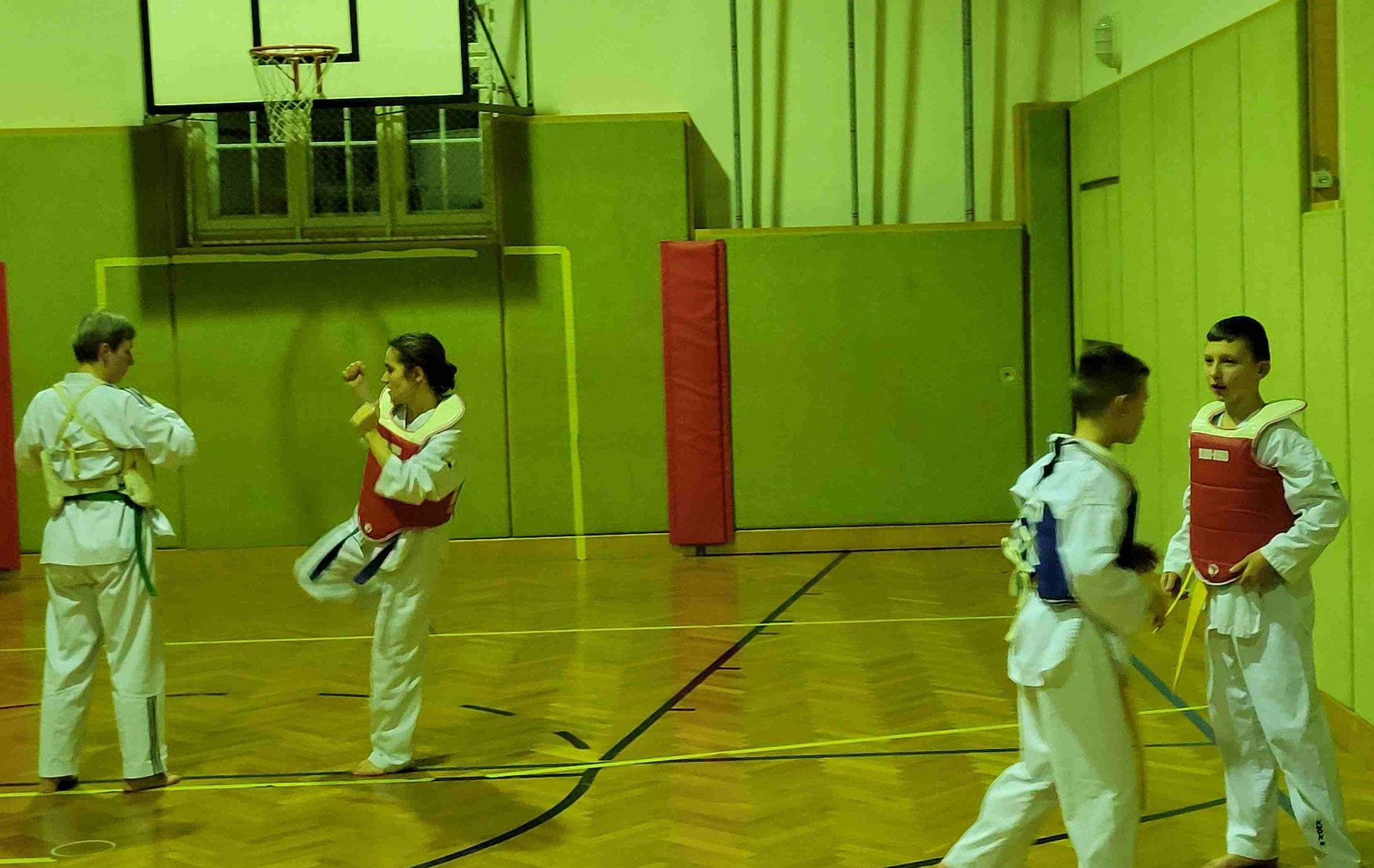 Taekwondo-Haugsdorf_Trainingsfoto_2023_6