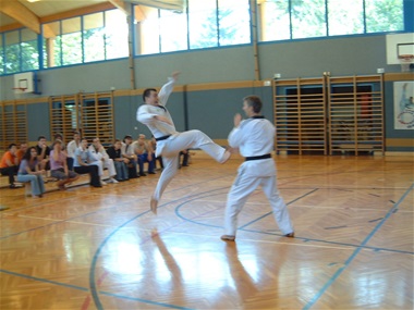 Taekwondo-Haugsdorf_deshalb wird hier