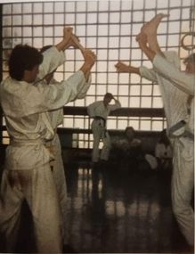 Taekwondo-Haugsdorf_Alte_Aufnahme_1